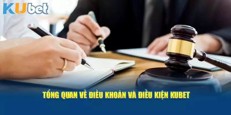 Thông tin tổng quan nhất về chính sách điều kiện và điều khoản 